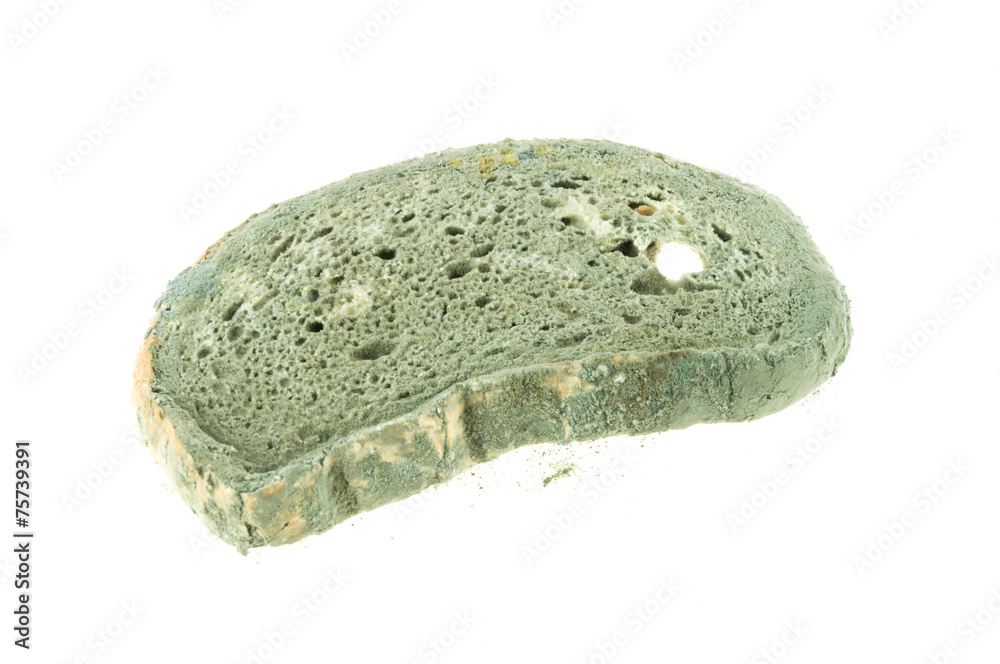 Obraz premium Bread Mold