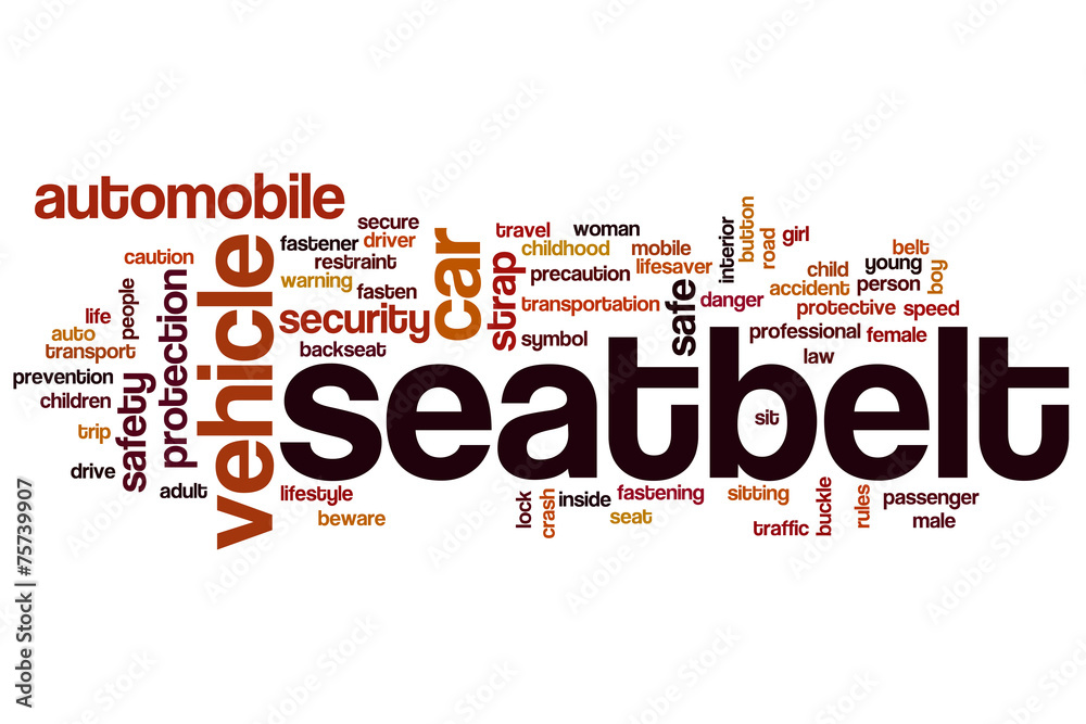 Seatbelt word cloud