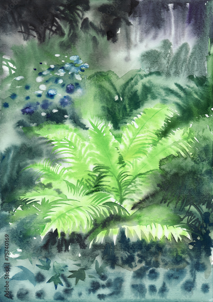 Obraz premium Wet fern in misty forest