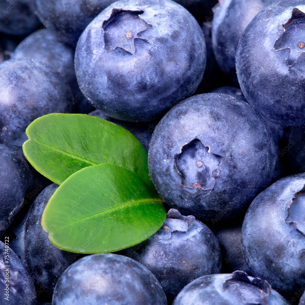 Obraz premium blueberries