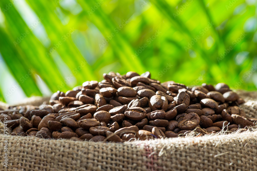 Fototapeta premium Kaffeebohnen im Sack