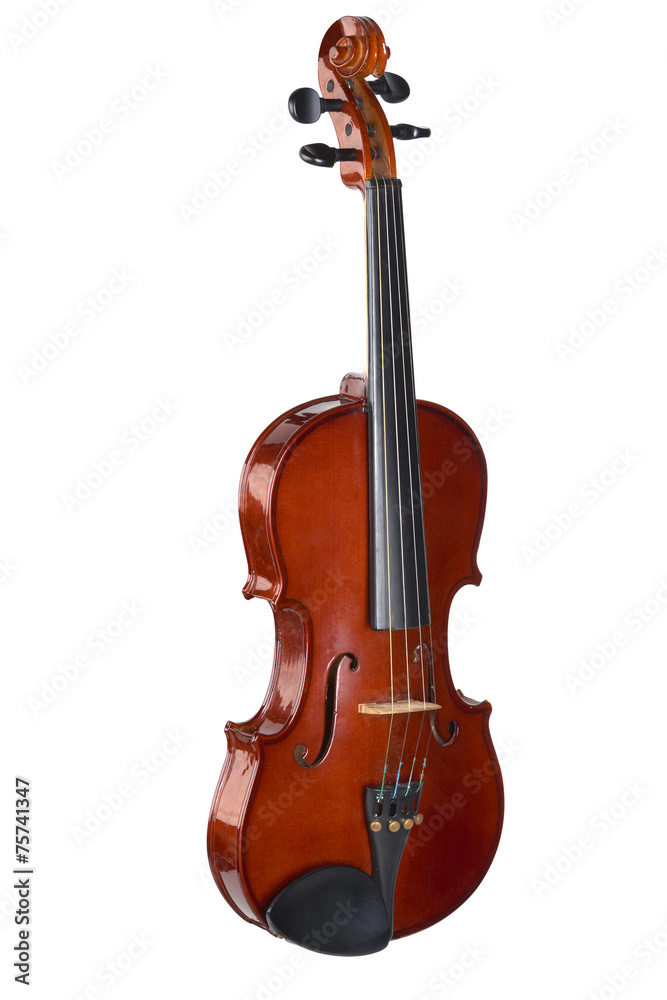 Fototapeta premium violin on white background