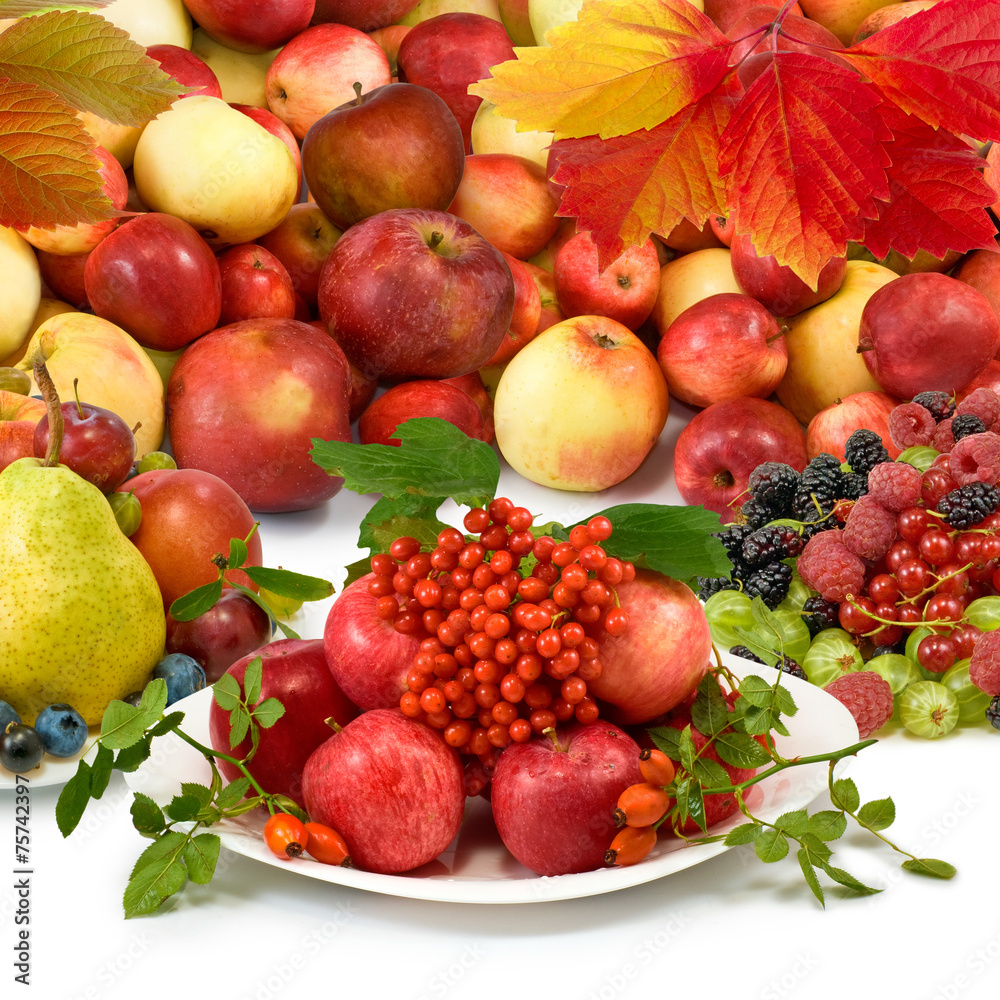 different fruits closeup on white background different fruits closeup on white background