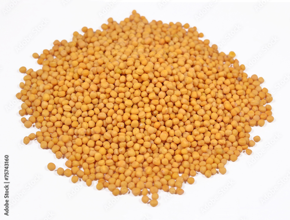 Heap of white mustard on a white Heap of white mustard on a white