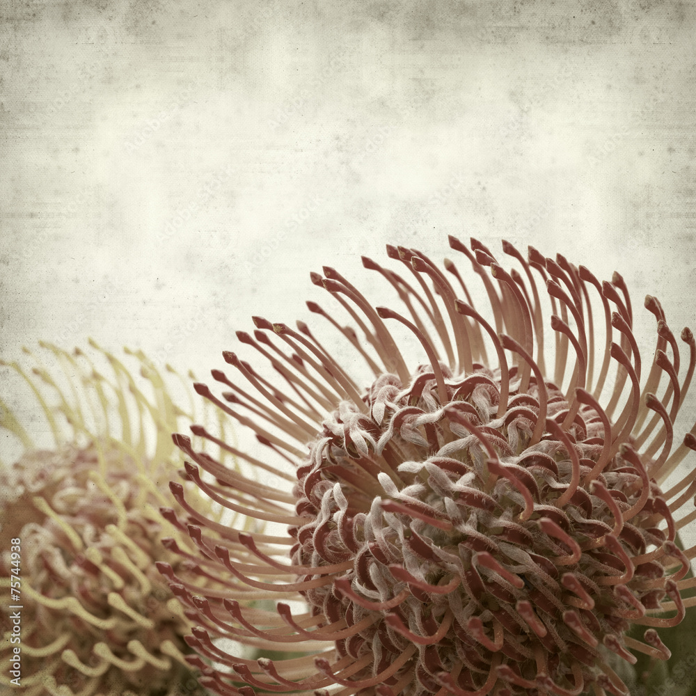 Fototapeta premium textured old paper background