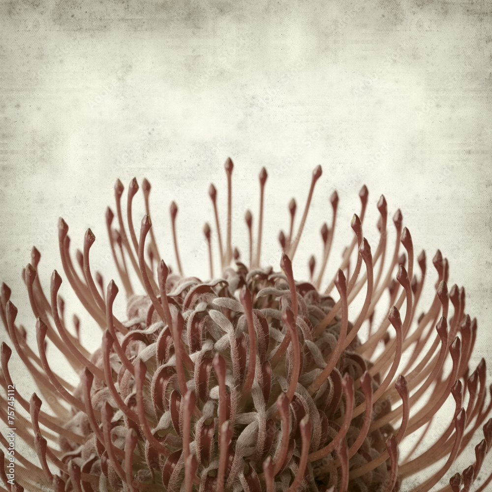 textured old paper background textured old paper background