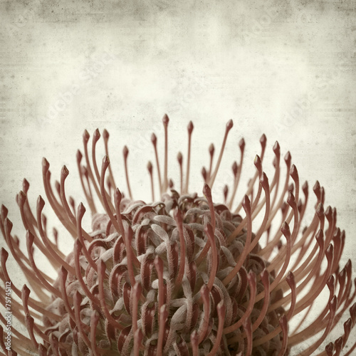 textured old paper background