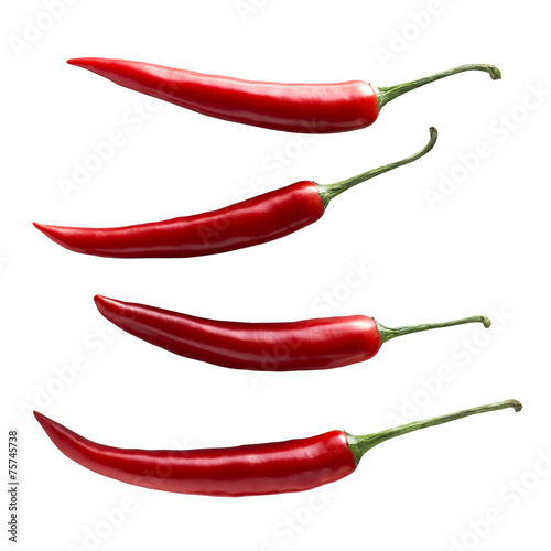 Single chili pepper set isolated on white