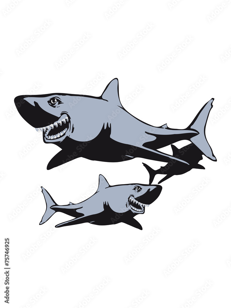 Fototapeta premium Shark fish dangerous group