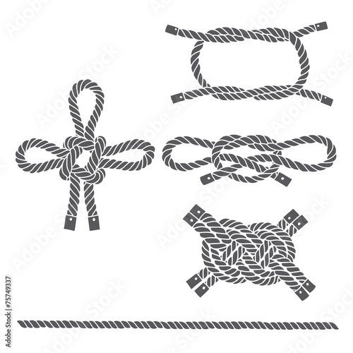 Set of marine rope, knots. Vector isolated  elements on a white