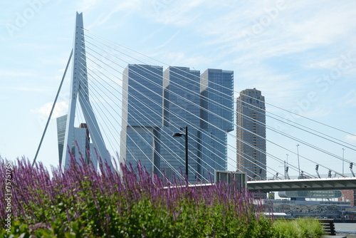 Rotterdam © Claude Corda