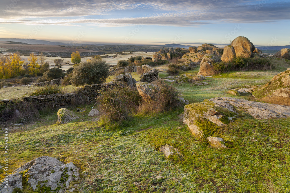 Ταπετσαρία Campo en Zarzuela de Jadraque