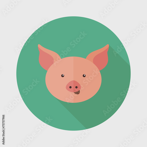 Pig flat icon with long shadow