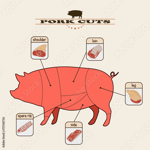 partes del cerdo
