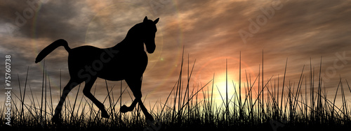 Horse silhouette in grass at sunset banner © high_resolution