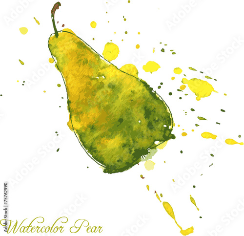 pear drawing by watercolor