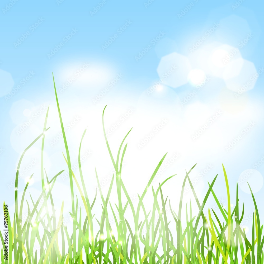 Spring nature background with grass and bokeh lights