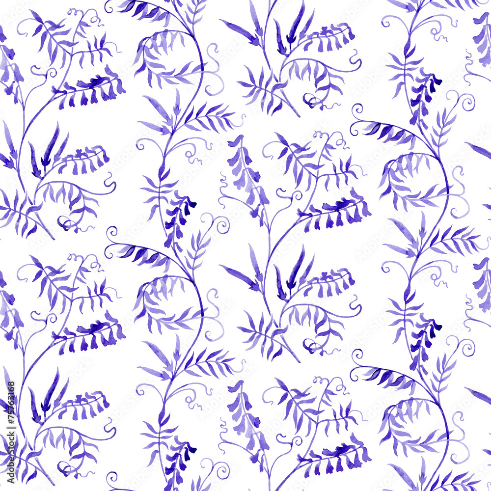 Fototapeta premium wild vetch