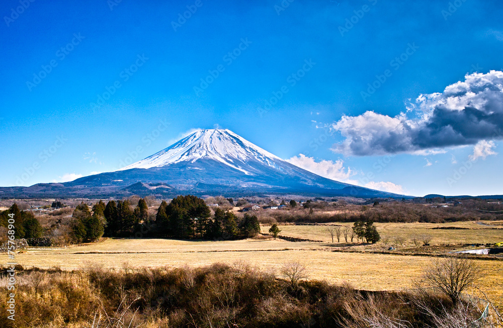 冬の草原と富士山