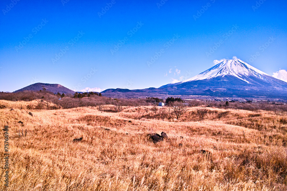 冬の草原と富士山