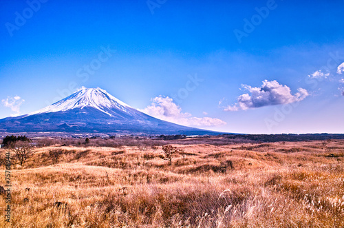 冬の草原と富士山