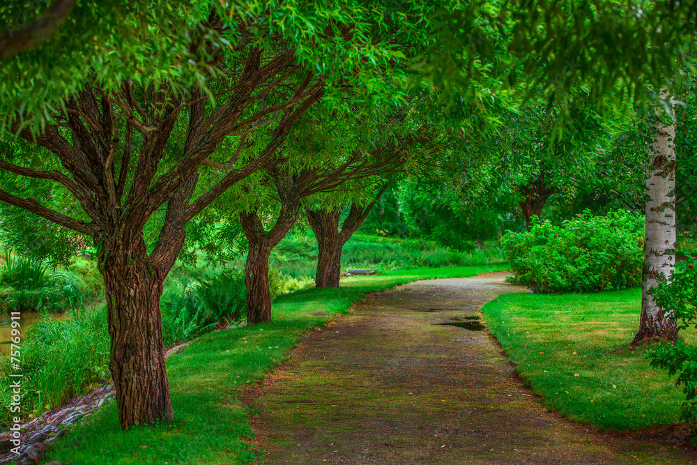 Beautiful walkway Beautiful walkway