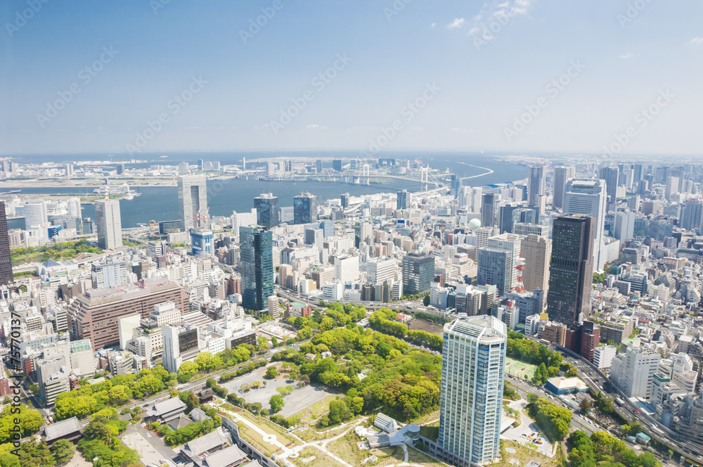 Aerial view of Tokyo city in Japan