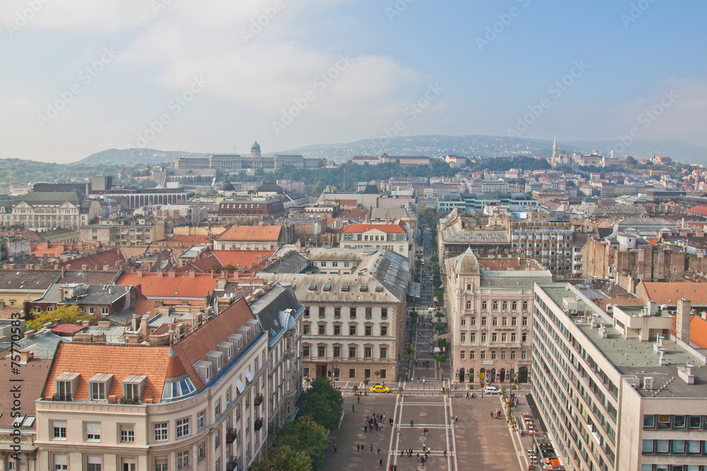 Fototapeta premium Budapest
