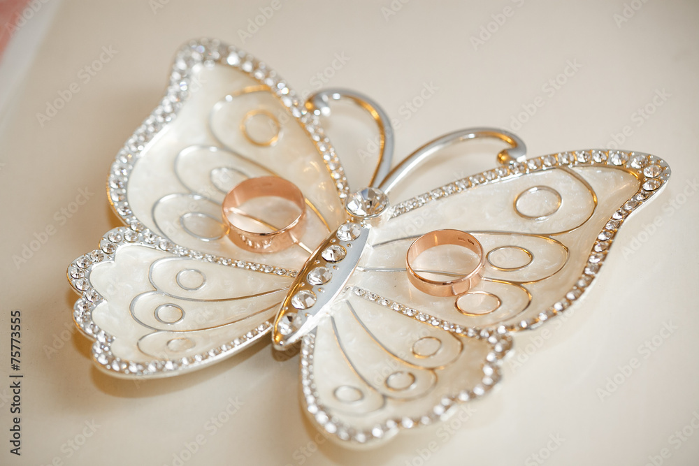 Obraz premium Wedding rings lie on a plateau in the form of a butterfly.