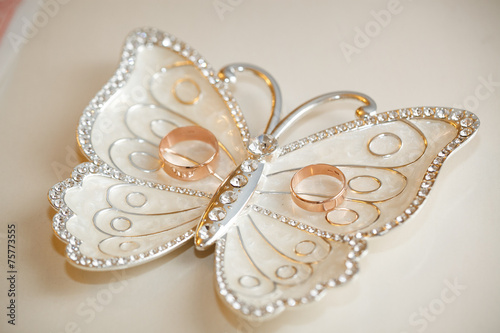 Wedding rings lie on a plateau in the form of a butterfly.