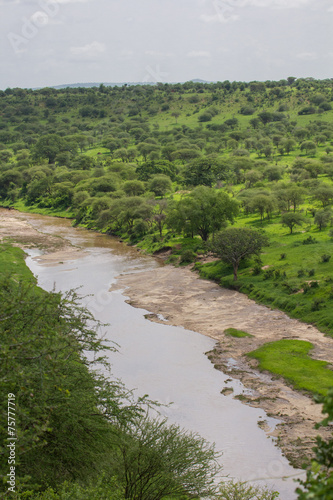 Rivière tanzanienne