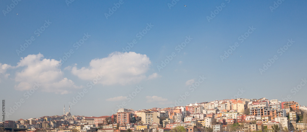 Colorful houses and mosque on a hillside in Istanbul, Turkey