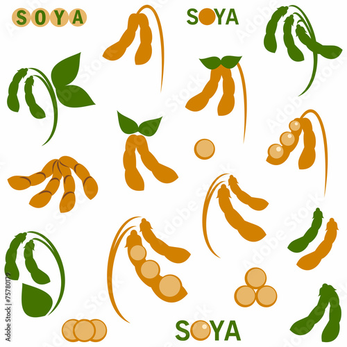 Soya