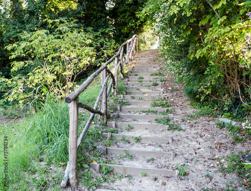 Stairs in garden park photo