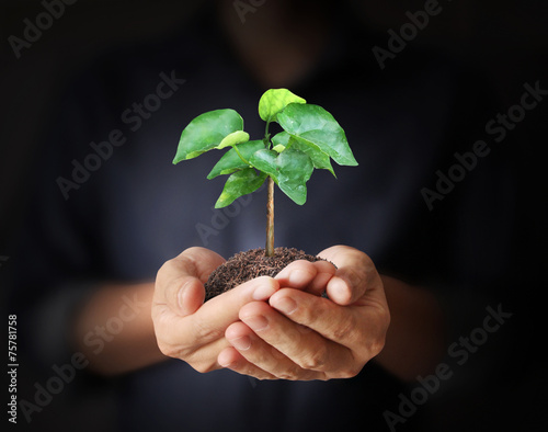 Man hands holding plant