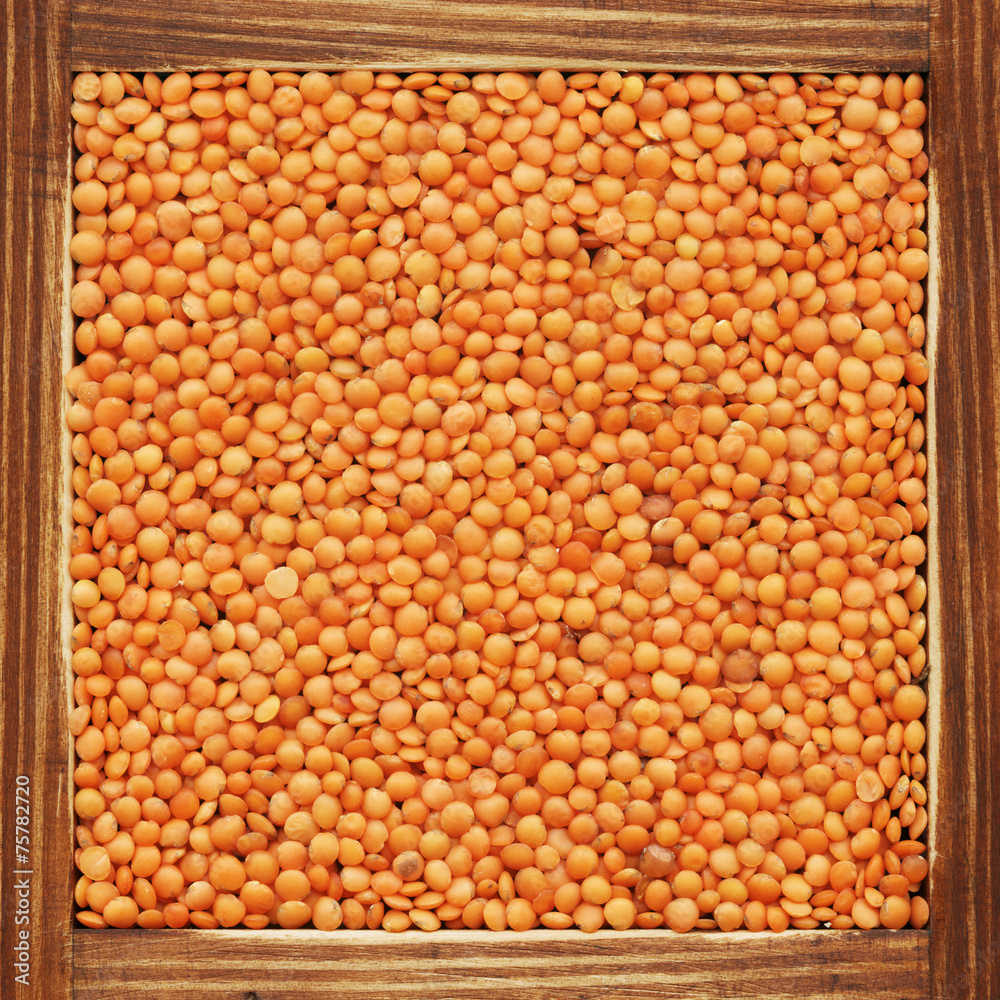 Lentil, collection of products