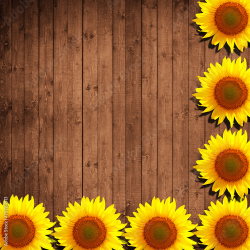 flower sunflower and natural wood background