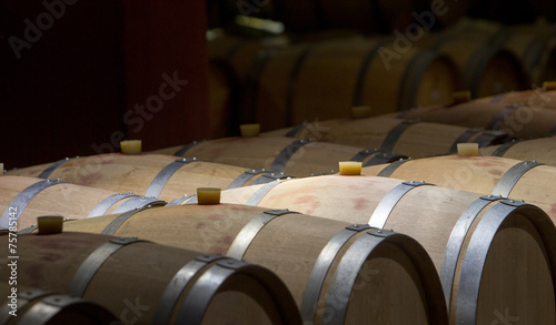 Bild auf Leinwand Wine Barrels Cellar Bulgaria