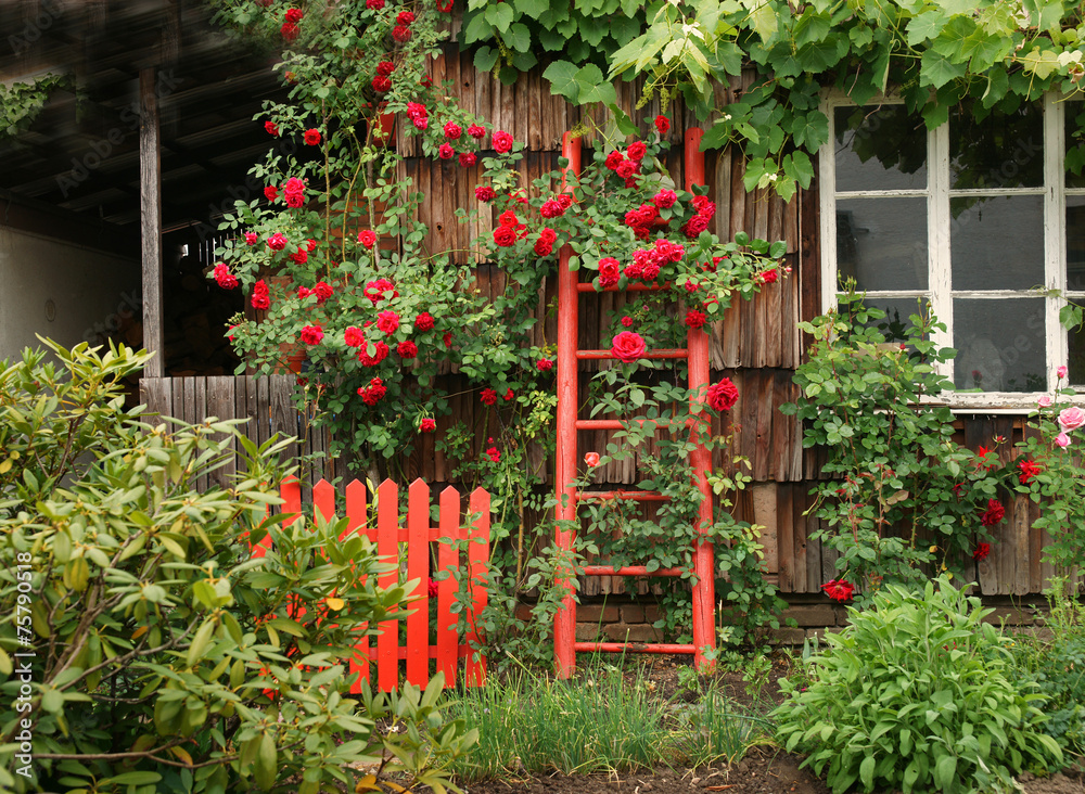 Obraz premium Bauerngarten