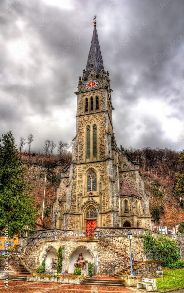 View of Cathedral of St. Florin in Vaduz - Liechtenstein