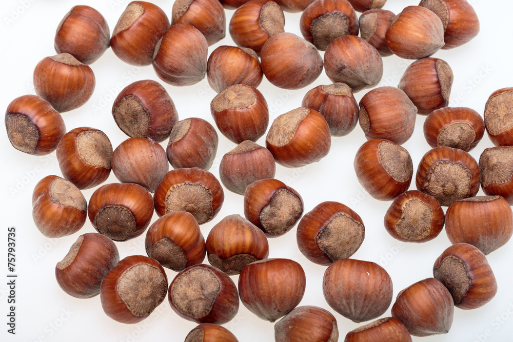 Pile of hazelnuts isolated on white background Pile of hazelnuts isolated on white background