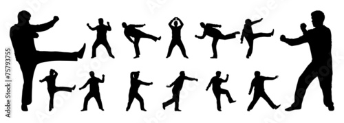 martial arts vector silhouette