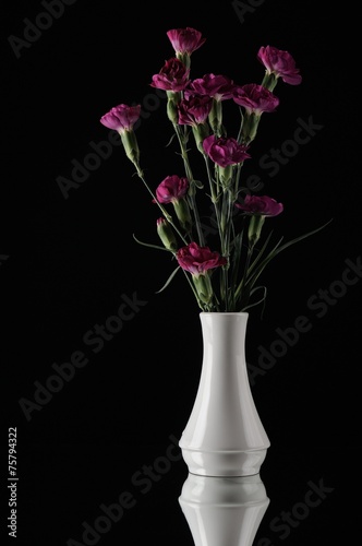 Purple carnations in white vase black bacground © hayricaliskan