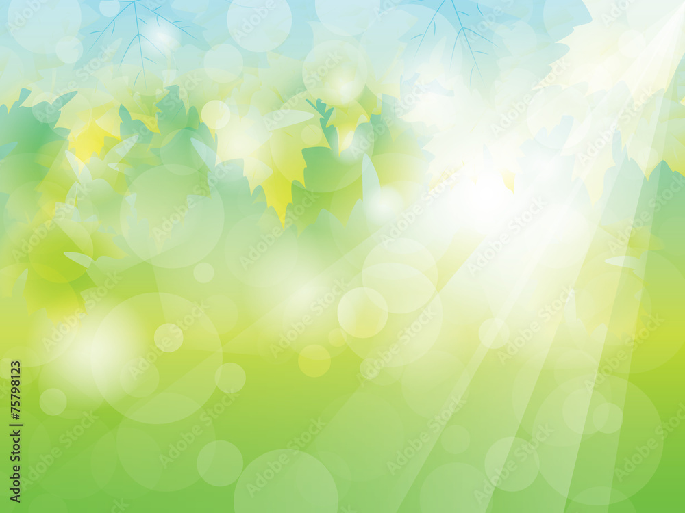 Summer or Spring sunny green leaves background vector