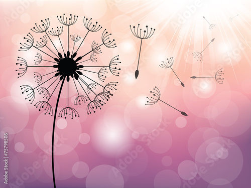 Dandelion on wind, vector background