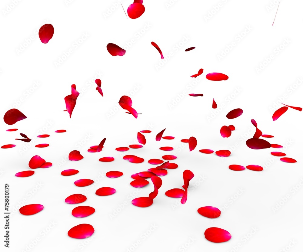 Rose petals falling on a surface Rose petals falling on a surface