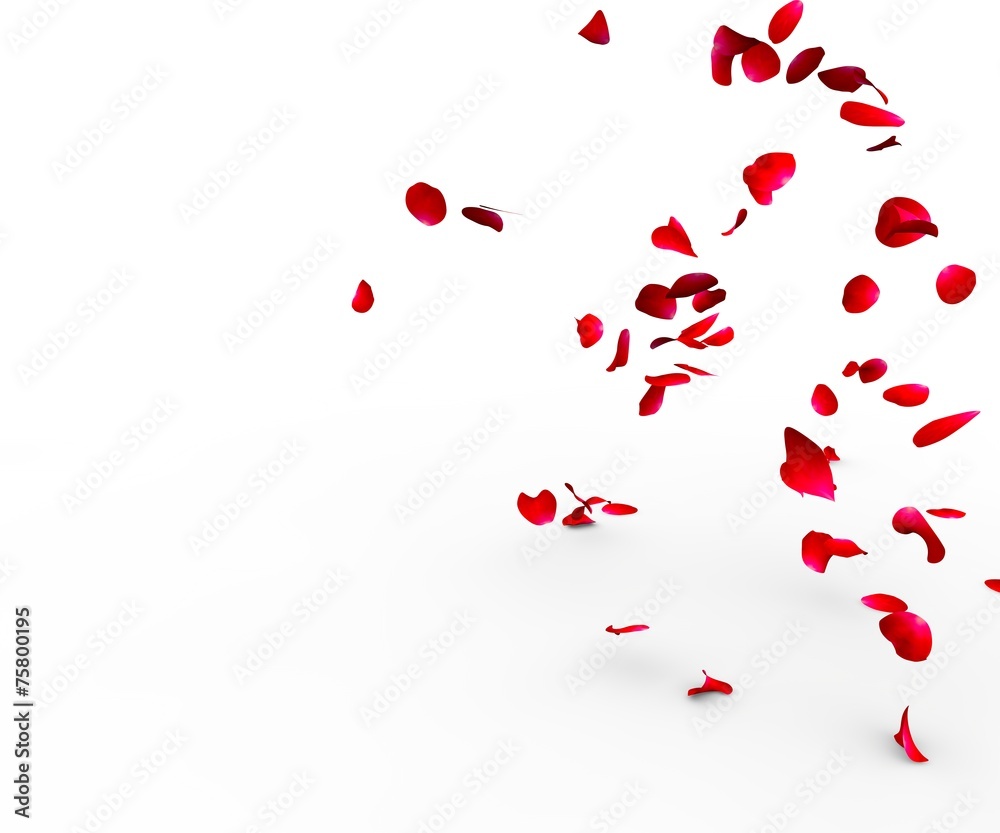 Rose petals falling on a surface