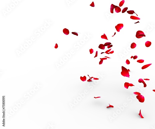 Photo Rose petals falling on a surface