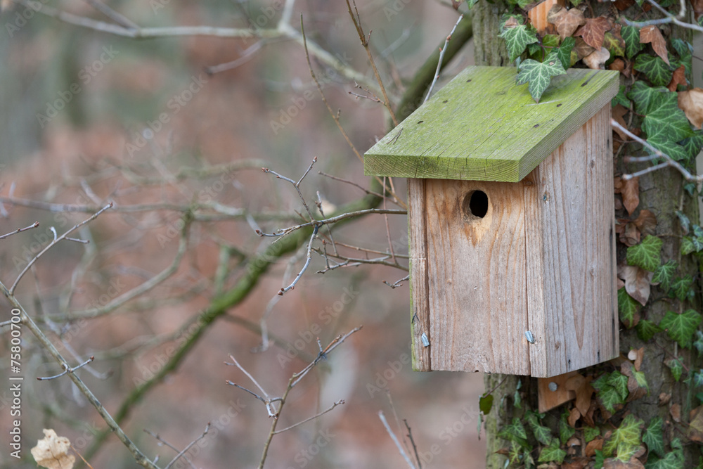 Naklejka premium Nistkasten