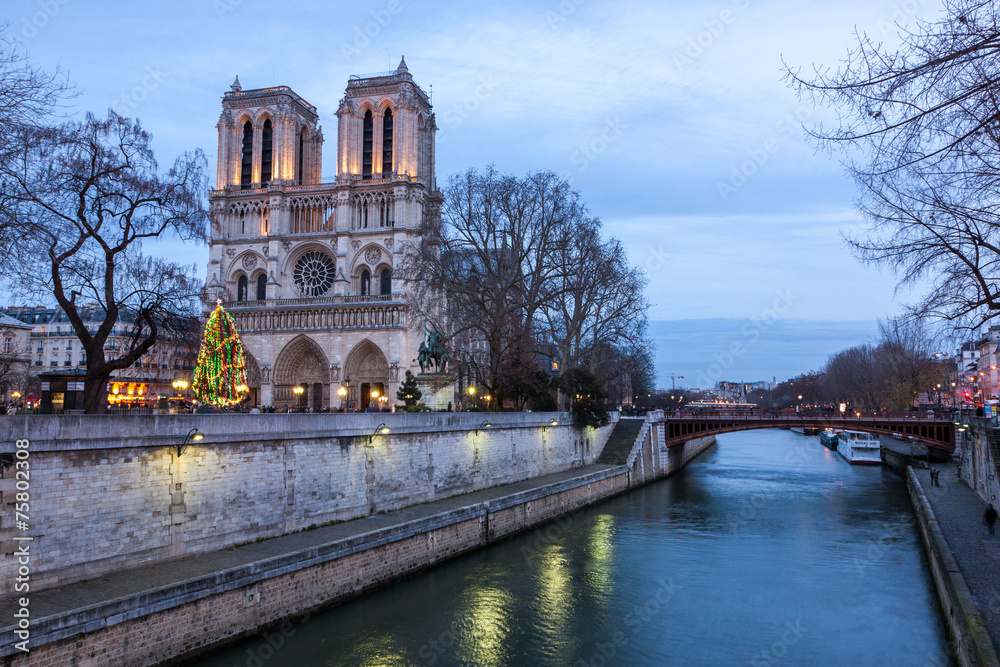 Naklejka premium Notre Dame de Paris at dusk, France.